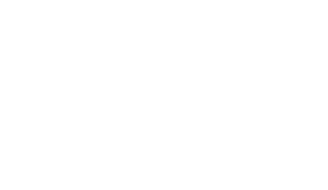 Southeast Chiropractic Belmont Logo